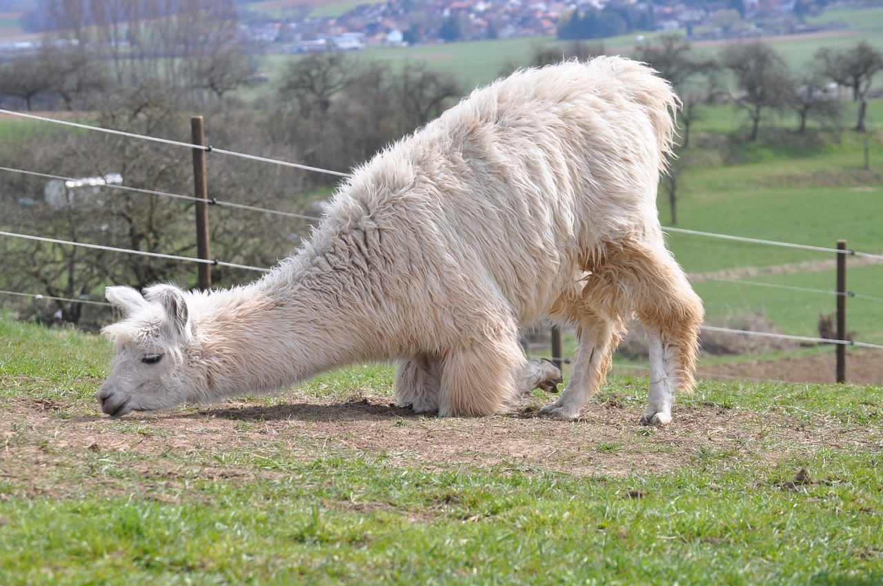 吸烟造成的身体变化