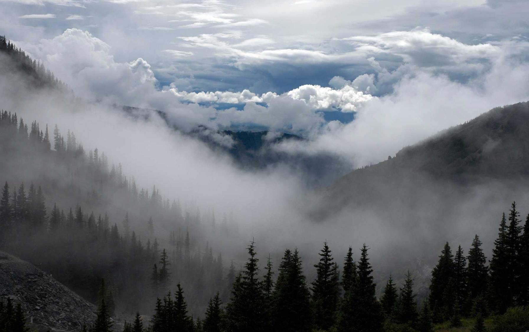 钉钉实名账号：医疗耗材代理平台