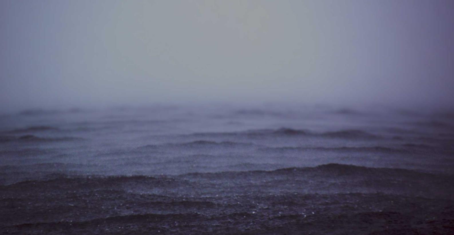 杏鑫怎么通过代理平台