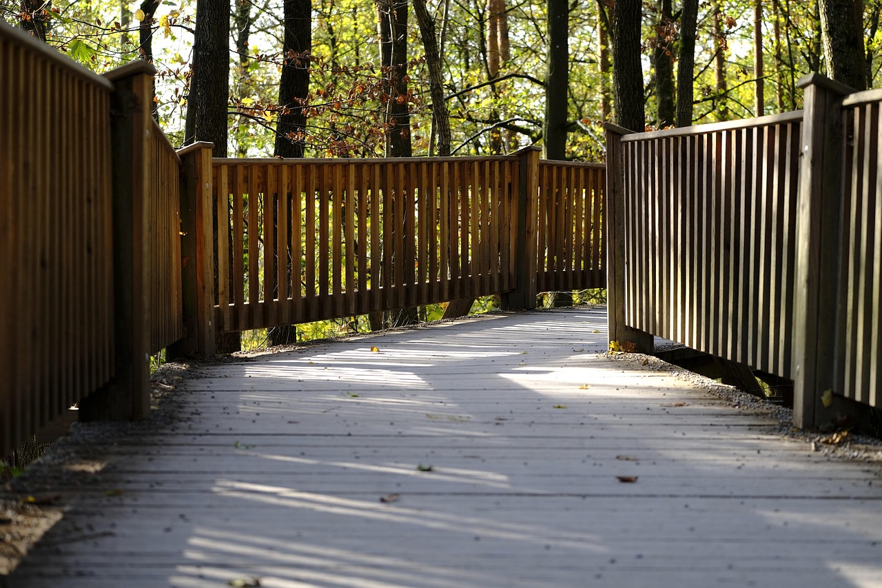 香烟行业和教育、健康等领域的合作与共赢