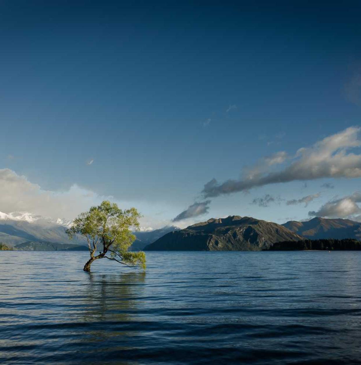微信号买卖：武侯区公司注册代理方案