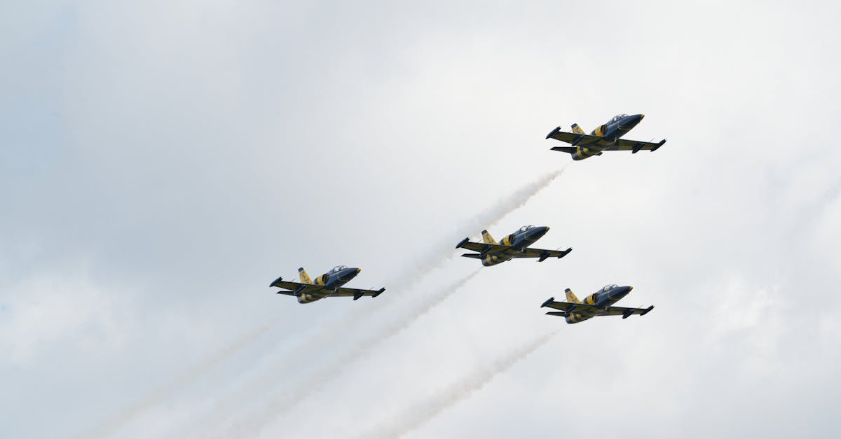 西部数码实名账号：激萌相机app详情下载教程