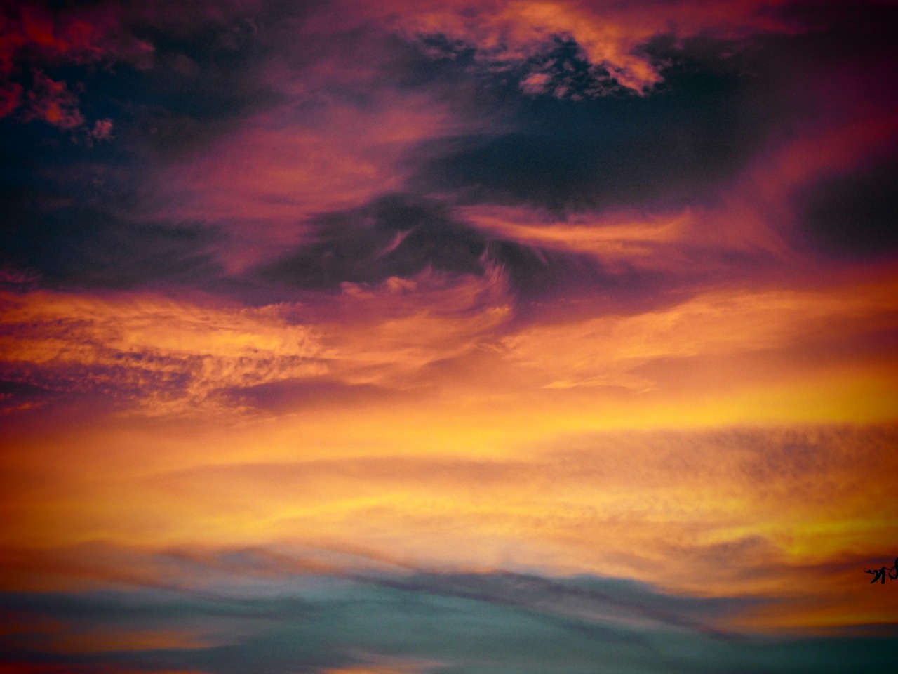 ZEST星空侧推芒果爆珠：西湖区代理注册商标在哪里