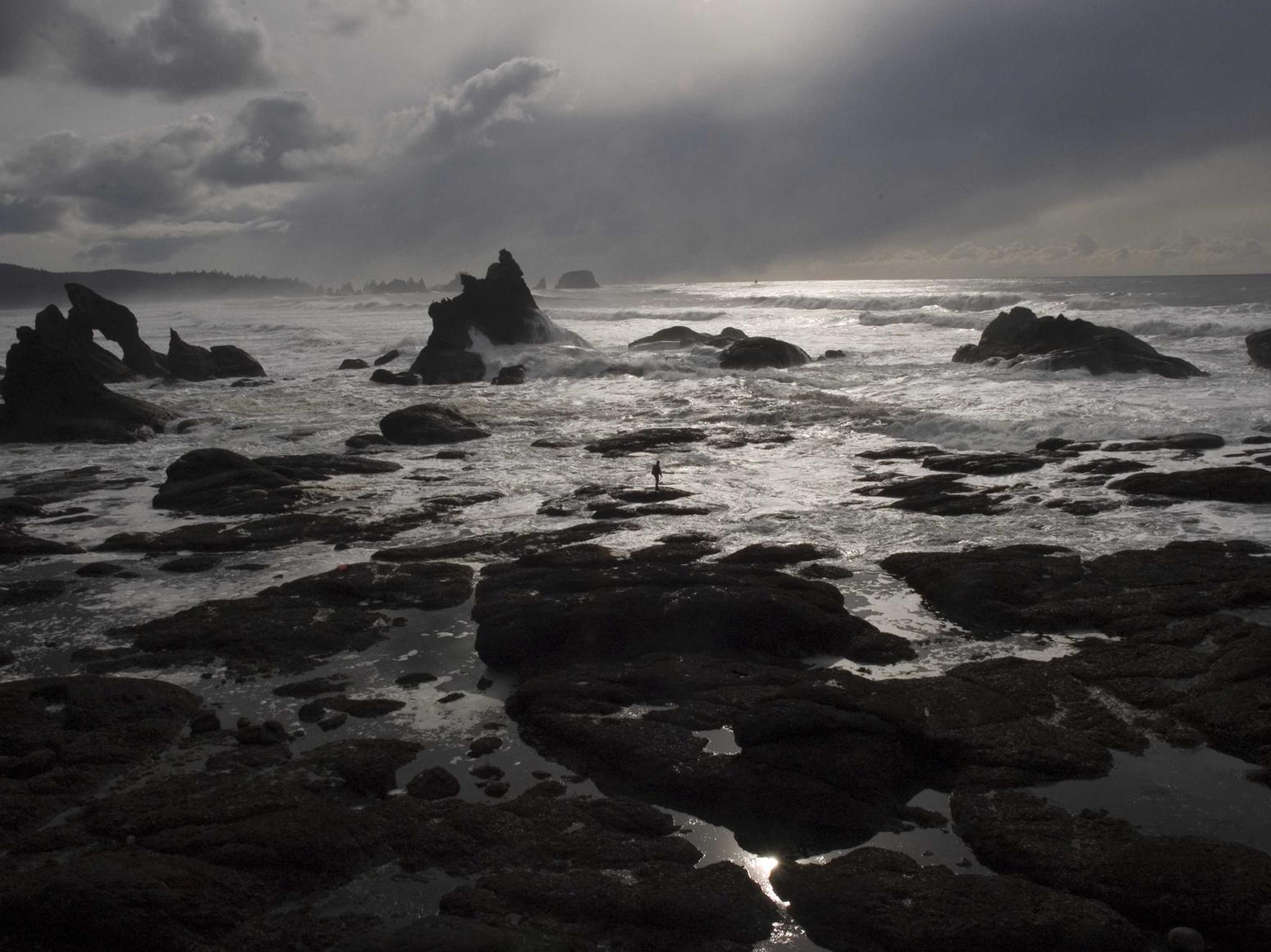 无嘴黄骆驼：期货开户官方账号查询平台