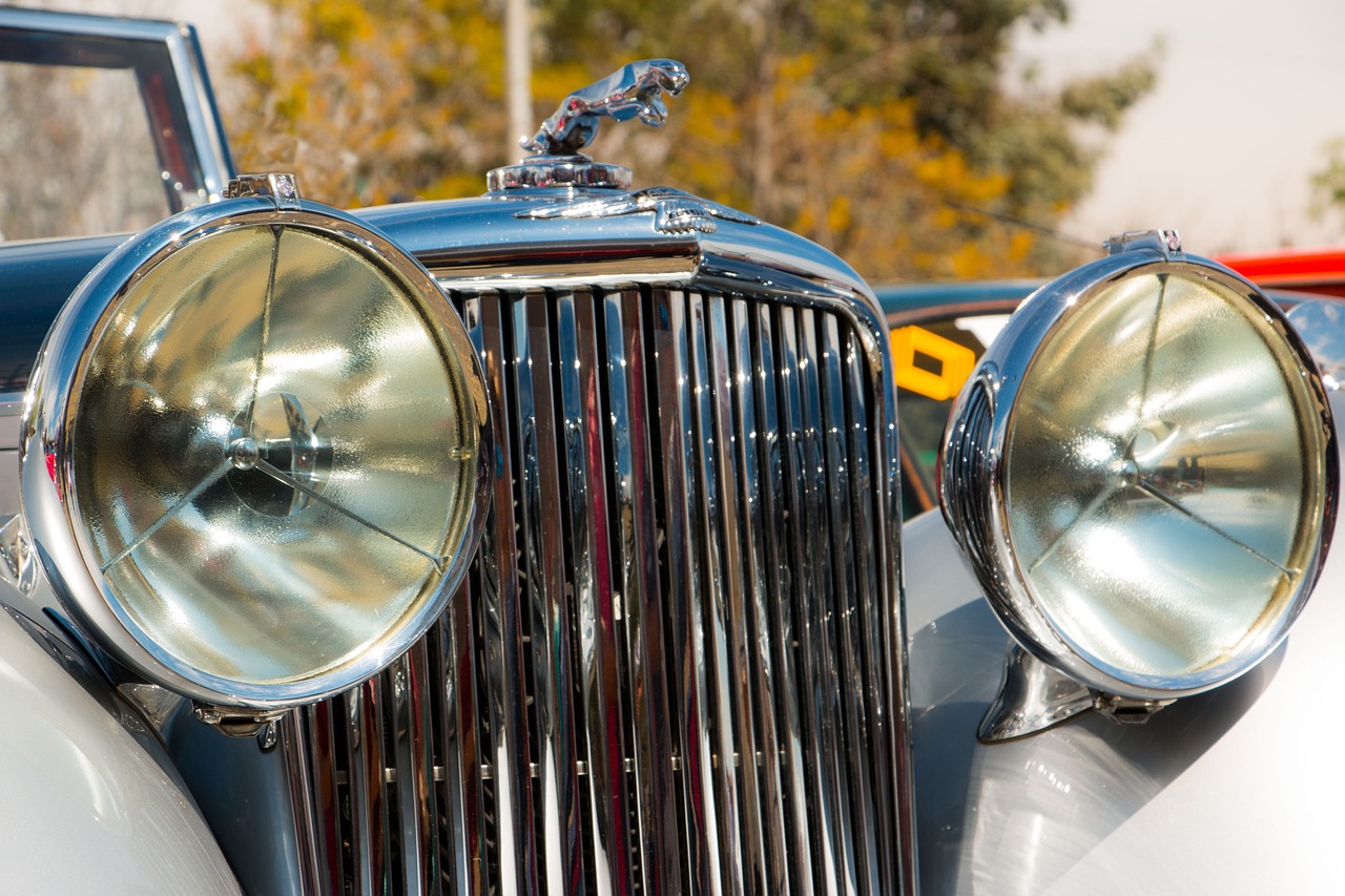 如何预防和防范技术支持的出现