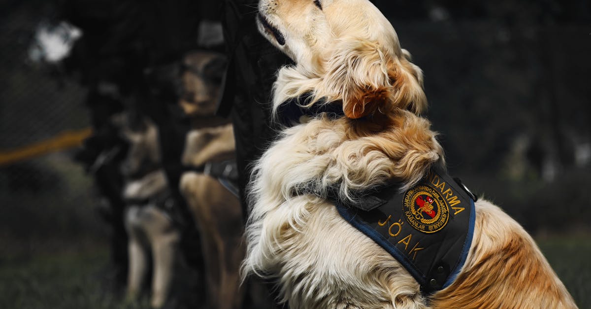 阿里云实名账号：enu购买平台